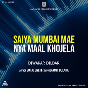 Saiya Mumbai Mae Nya Maal Khojela