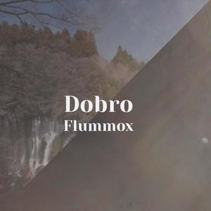 Dobro Flummox