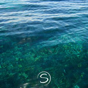 Ocean Murmurs