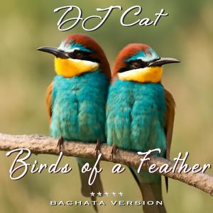 Birds of a Feather (Bachata Version)