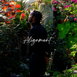 Alignment (Explicit)