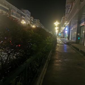 幻想 - 渡Du;君客Drink封面