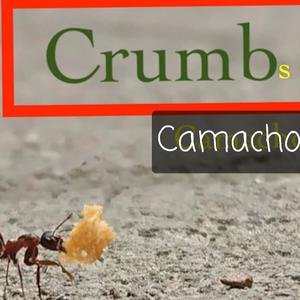 Crumbs