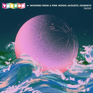 Whispers From A Pink Moon: Acoustic Journeys