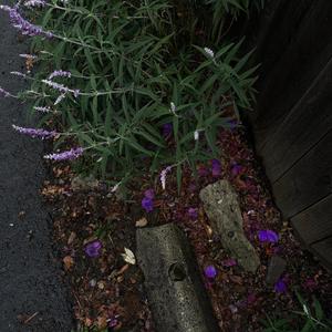 So what? (Heart of Coal remix|Explicit)