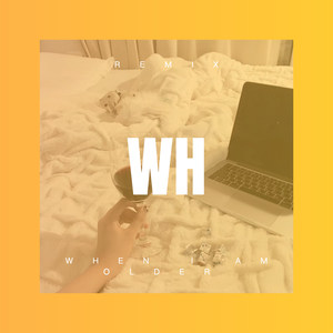 倔强的麻雀 (Remix)