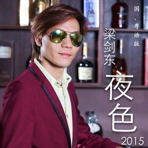 夜色2015 (粤 DJ版)