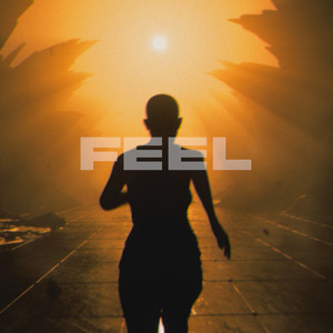 FEEL (Stella)