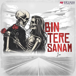 Bin Tere Sanam