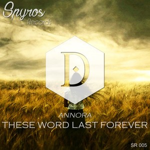 These Word Last Forever (Original Mix)