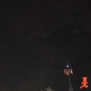 PUT 'EM IN DIRT (Explicit)