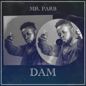 Dam