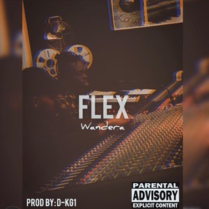 Flex (Explicit)