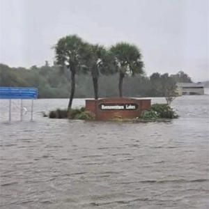 Certified Street (feat. K-Angel Raw, Yeutheengineer & D Bones) (Explicit)