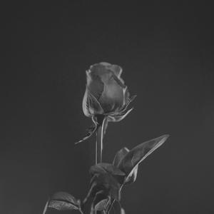 Me Gusta (feat. Natis & Max Gomez)