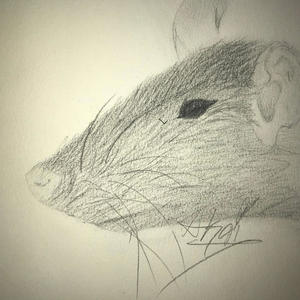 Blue Heart (Explicit)