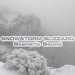 Snowstorm Blizzard Scenario Sound