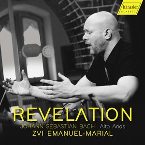 Geist und Seele wird verwirret, BWV 35, Pt. 2 - Geist und Seele wird verwirret, BWV 35, Pt. 2: V. Sinfonia in D Minor