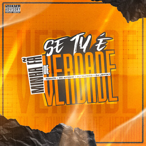 Se Tu é Minha Fã de Verdade (Explicit)