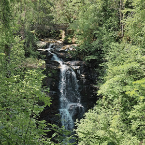 churn.squashes.easily