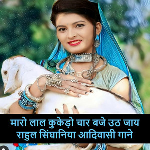 मारो लाल कुकेड़ो चार बजे उठ जाय राहुल सिंघानिया आदिवासी गाने