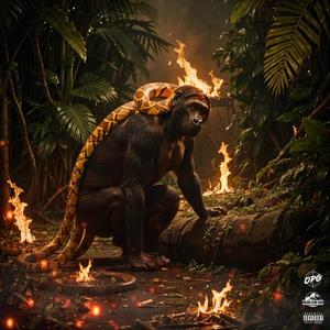 Big Mog Gwapp (Explicit)