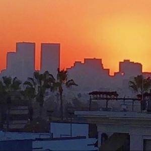 Palm Trees (feat. DrakoDragon) (Explicit)