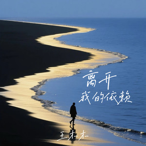 离开我的依赖（我来不及道声不安）-王木木
