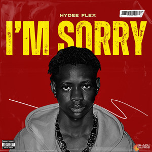 I'm Sorry (Explicit)