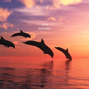 Dolphins