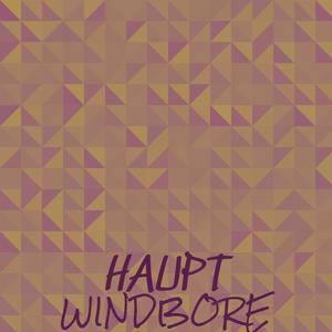 Haupt Windbore