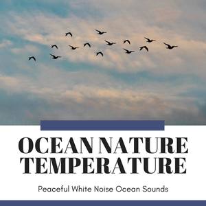 Ocean Nature Temperature - Peaceful White Noise Ocean Sounds