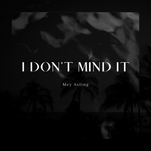 I Don't Mind It (Explicit)