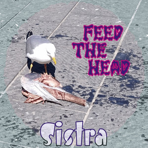 Feed the Head