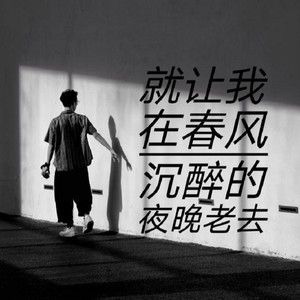 就让我在春风沉醉的夜里老去