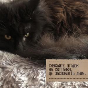 разом назавжди