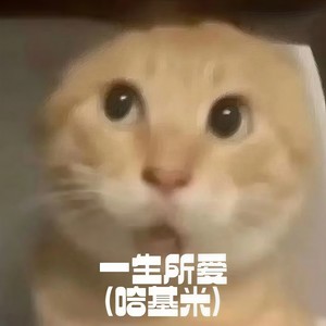 一生所爱（哈基米）-秃头少女