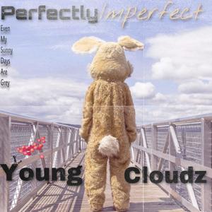 Perfectly Imperfect (Explicit)