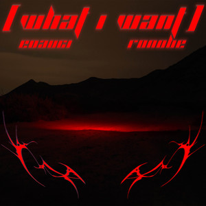 What I Want (Explicit)