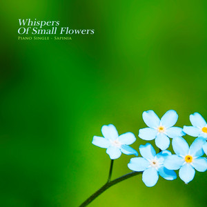 작은 꽃의 속삭임 (Whispers of small flowers)