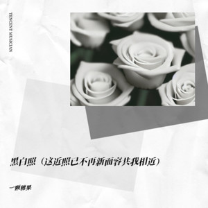 一颗糖果 - 黑白照（这近照已不再新面容共我相近）