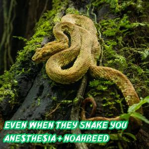 Even When They Snake You (feat. NoahReedMusic) (Explicit)