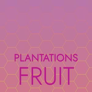 Plantations Fruit