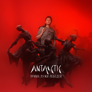 Прима лужи лебедей