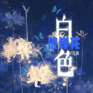 白色彼岸花 (伴奏)
