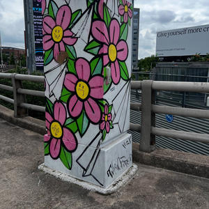 Ode Flavs (feat. Dbg zion) (Explicit)