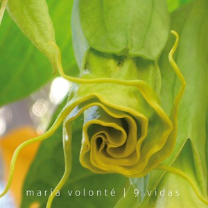 Que he sacado con quererte