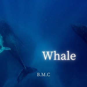Whale