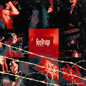 Aarons Song (Explicit)