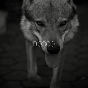 ROSCO (Explicit)